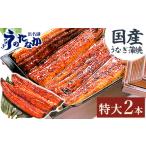 ショッピングうなぎ 蒲焼き 国内産 送料無料 ふるさと納税 静岡県 磐田市 浜名湖・うなぎのたなかの特大サイズ2本セット!ふっくら柔らか♪国産うなぎ長蒲焼※合計360g程度【1417614】