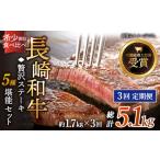 牛肉 ヒレ 全3回定期便 長崎和牛 贅沢 ステーキ 5種