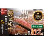 牛肉 ヒレ 全6回定期便 長崎和牛 贅沢 ステーキ 5種
