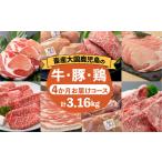 牛肉 セット 岩元精肉店 産精肉 厳選4か月お届けコース