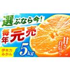 ふるさと納税 果物類 みかん 長崎県 諫早市 2025年10月発送分/先行予約 《伊木力みかん》家庭用みかん 5kg / みかん ミカン 蜜柑 フルーツ ふるーつ 果物 …