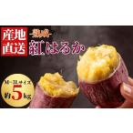 野菜類 サツマイモ 10月 発送 さつまいも