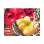 りんご 395 訳あり サンふじ 約3kg