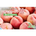 もも 桃農家さん 山形のおいしい桃 2kg