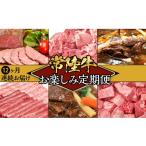 牛肉 定期便 全12回 常陸牛 お楽しみ定期便