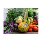 トマト 旬なカラフル野菜つめ合わせセット