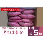 野菜類 サツマイモ 2026年度産 濃厚な甘みさつまいも