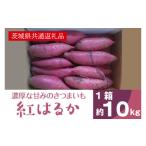 野菜類 サツマイモ 2026年度産 濃厚な甘みさつまいも