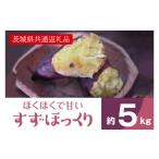 野菜類 サツマイモ 2026年産 ホクホクで甘いさつまいも