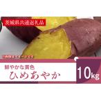 野菜類 サツマイモ 2026年産 鮮やかな黄色のさつまいも