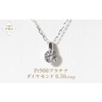 アクセサリー ネックレス プラチナ 一点留め