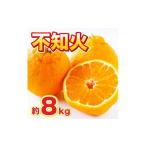 ふるさと納税 果物類 みかん 佐賀県 伊万里市 佐賀県産 不知火 約8kg 114-B1013