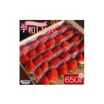 ふるさと納税 いちご 愛媛県 西予市 農家厳選 かんちゃん農園 1箱(約650g) 新鮮朝採り 宇和いちご