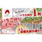 いちご 佐藤果実工房のいちご大人買い 4