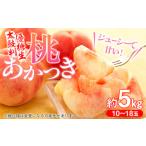 ふるさと納税 もも 長野県 喬木村 7-J03 桃 あかつき 太鼓判・優糖生 約5kg