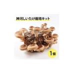 fu.... налог овощи вид .. . Hyogo префектура бог река блок бог река .... культивирование комплект (..... пол )1 шт 10 месяц ~4 месяц отправка 1355216