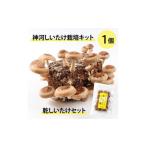 fu.... налог овощи вид .. . Hyogo префектура бог река блок бог река .... культивирование комплект (..... пол )1 шт ...... комплект 10 месяц ~4 месяц отправка 1355227