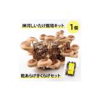 fu.... налог овощи вид .. . Hyogo префектура бог река блок бог река .... культивирование комплект (..... пол )1 шт .. ах . иудино ухо комплект 10 месяц ~4 месяц отправка 1355228