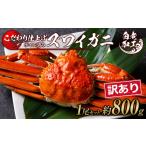 カニ ずわいガニ 訳あり ズワイガニ 姿 ボイル済み