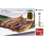 川魚 ます 姫ます笹煮 4匹袋入り×4個 箱入