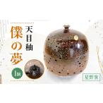 陶磁器 漆器 ガラス 星野窯の夢 天目 UCD002