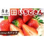 唐津産 いちごさん 約250g×4パック
