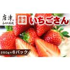 唐津産 いちごさん 約250g×6パック