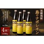本格 黒糖焼酎 島のナポレオン 紙パック 900ml×4本セット