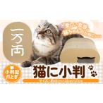 猫に小判