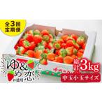 ふるさと納税 いちご 長崎県 壱岐市  先行予約 全3回定期便 《2月〜4月：毎月発送 》お徳用 バラ詰め イチゴ 1kg （ゆめのか・恋みのり） 2026年2月以降順次発…