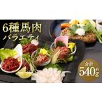 ふるさと納税 馬肉 熊本県 相良村 馬肉 バラエティ 計540g 6種 タレ付き 馬刺 馬刺し 赤身 コウネ フタエゴ ユッケ トロ ハンバーグ 馬 肉 切落し スライス