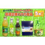 ふるさと納税 青森県 八戸市 食べて応援！ヴァンラーレ八戸×地域企業コラボ食品5点セット