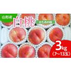 ふるさと納税 もも 山形県 山形市 山形市産 白桃 3kg(かための桃) 令和8年産先行予約 FU22-025 くだもの 果物 フルーツ 山形 山形県 山形市 2026年産