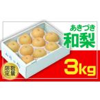 ショッピングふるさと納税 梨 ふるさと納税 梨 山形県 山形市  フルーツ王国山形 和梨(あきづき) 秀品 3kg 令和8年産先行予約 FU22-028 くだもの 果物 フルーツ 山形 山形県 山形市 2026年…