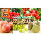 ショッピング果物 ふるさと納税 山形県 山形市 【定期便5回】山形果実の彩 【令和6年産先行予約】FU22-042 フルーツ定期便 くだもの 果物 さくらんぼ 佐藤錦 紅秀峰 もも 白桃 …