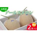 ふるさと納税 メロン メロン青肉 山形県 山形市 山形産 アールスメロン 秀 2玉(3kg) 令和7年産先行予約 FS24-540くだもの 果物 フルーツ 山形 山形県 山形市 2…