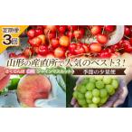 果物類 さくらんぼ 定期便3回 山形の産直所で