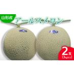 ふるさと納税 メロン メロン青肉 山形県 山形市 山形産アールスメロン 2玉 (3kg以上) 令和7年産先行予約 FU22-784 くだもの 果物 フルーツ 山形 山形県 山形…