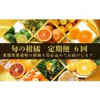 ふるさと納税 果物類 みかん 愛媛県 愛南町 2025年11月〜 定期便 全6回 旬の柑橘 食べ比べ 家庭用 訳あり レモン 愛媛みかん ポンカン 文旦 河内晩柑 温州み…