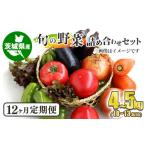 旬の野菜詰め合わせセット 毎月12ヶ月