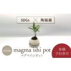 食器 グラス 美濃焼 magma cup WHITE