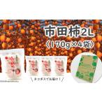 果物類 柿 JA38 市田柿 大粒2Lサイズ 約170g
