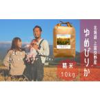 ふるさと納税 米 ゆめ