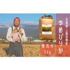 ふるさと納税 米 ゆめ