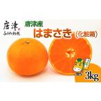 ふるさと納税 果物類 みかん 佐賀県 唐津市 『先行予約』 令和8年1月下旬発送予定 唐津産 はまさき 3kg 化粧箱 みかん ミカン オレンジ フルーツ 果物 ギフト