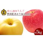 ふるさと納税 りんご 秋田県 鹿角市 《先行予約》令和7年産 秋田県鹿角産りんご「秋田紅あかり&はるか」約 5kg 詰め合わせ 恋する鹿角カンパニー ●2025年12…