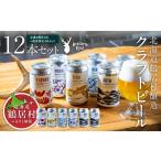 ふるさと納税 ビール 地ビール 北海道 鶴居村 クラフトビール Brasserie Knot 12本セット (定番４種類各２缶＋ 道東地域限定 DOTO４缶セット) 地ビール 北海道…