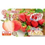 ふるさと納税 いちご 福岡県 大木町 朝摘みあまおう約270g×6パック 2026年3月中順次出荷予定 BD05