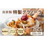 加工品等 無添加 グラノーラ 250g×3袋