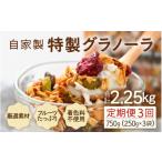 加工品等 定期便3回 無添加 フルーツグラノーラ 250g×3袋